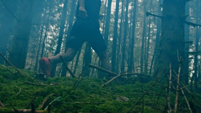 Video Reference: People in nature, Forest, Nature, Tree, Natural environment, Old-growth forest, Green, Atmospheric phenomenon, Woodland, Natural landscape