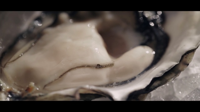 Video Reference: oyster, clams oysters mussels and scallops, jaw, animal source foods, seafood, clam