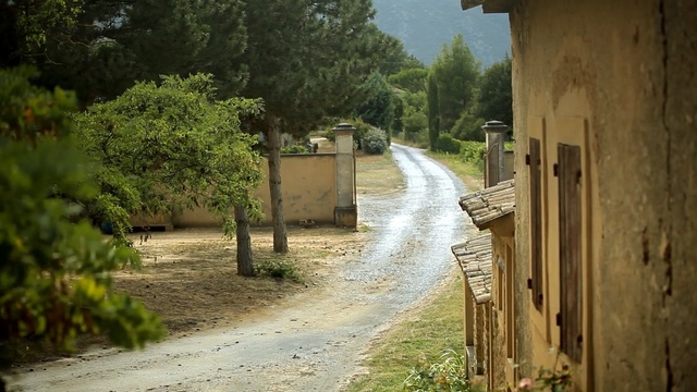 Video Reference: Dirt road, Road, Rural area, Tree, Infrastructure, Village, Thoroughfare, Land lot, Grass, Trail