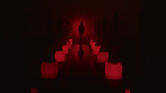 Video Reference: Red, Black, Light, Lighting, Darkness, Still life photography, Maroon, Symmetry, Magenta, Room