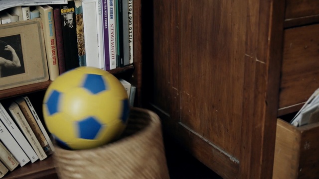 Video Reference: Soccer ball, Ball, Wood, Football, Hardwood, Shelf, Room, Floor, Flooring, Furniture