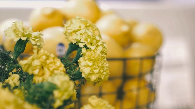 Video Reference: yellow, flower, flower arranging, floristry, flower bouquet, petal, floral design, spring, centrepiece