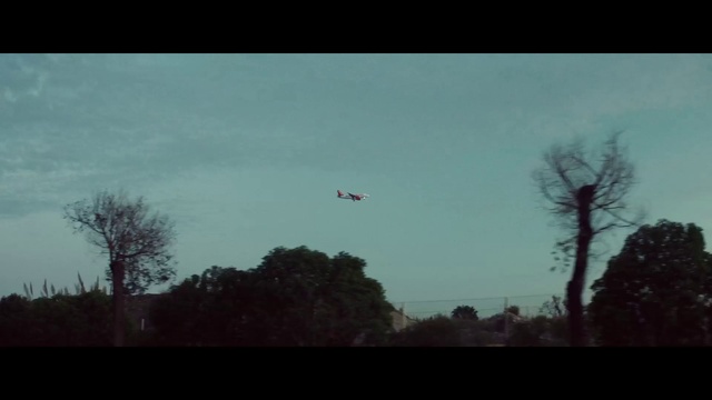 Video Reference: Sky, Nature, Atmosphere, Cloud, Tree, Morning, Leaf, Branch, Evening, Horizon