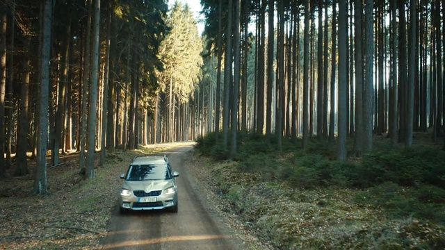 Video Reference: nature, forest, ecosystem, path, tree, woodland, car, plant, road, temperate coniferous forest