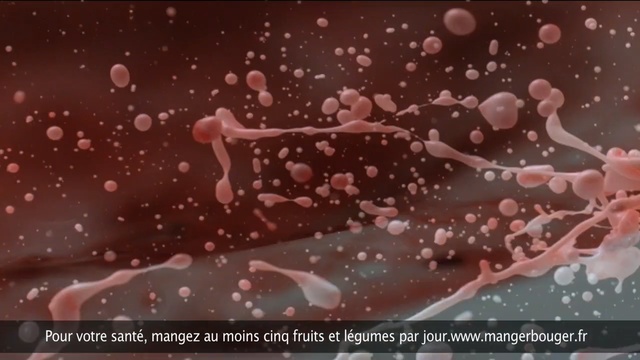 Video Reference: petal, computer wallpaper, font