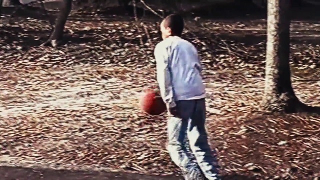 Video Reference: Tree, Jeans, Arm, Footwear, Leg, Grass, Adaptation, Plant, Photography, Sunlight