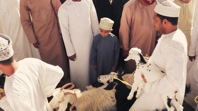 Video Reference: Goats, Goat, Event, Sheep, Livestock, Person