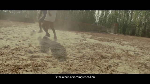 Video Reference: ecosystem, mammal, vertebrate, soil, mode of transport, grass, geological phenomenon, tree, morning, screenshot, Person