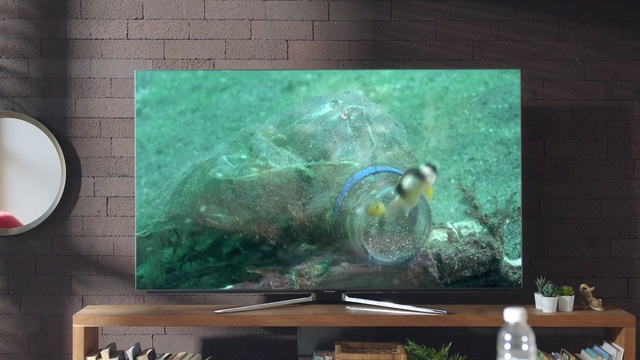 Video Reference: Green, Turquoise, Teal, Painting, Organism, Modern art, Turquoise, Art, Rectangle, Still life