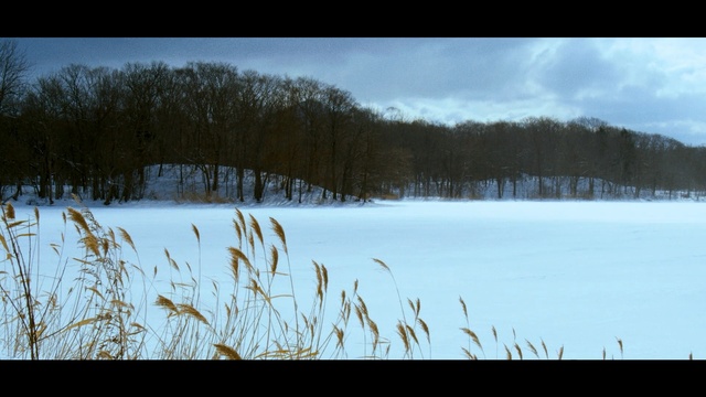 Video Reference: Snow, Winter, Nature, Natural landscape, Sky, Tree, Freezing, Grass, Grass, Plant