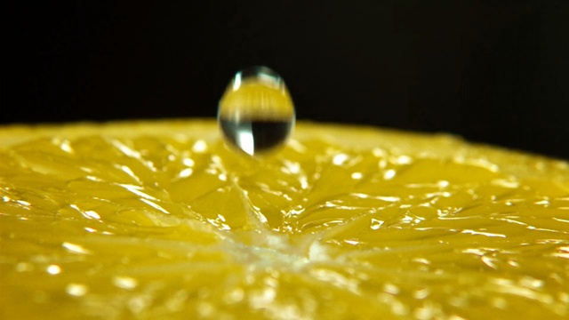 Video Reference: yellow, macro photography, close up, water, drop, pollen, moisture