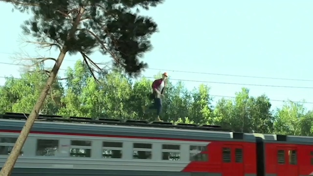 Video Reference: Tree, Transport, Roof, Mode of transport, Woody plant, Vehicle, House, Track, Plant, Railroad car