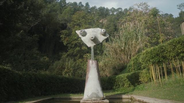 Video Reference: tree, grass, water feature, water, recreation