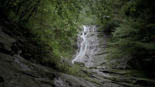 Video Reference: Waterfall, Water resources, Nature, Body of water, Water, Nature reserve, Watercourse, Natural landscape, Vegetation, Old-growth forest