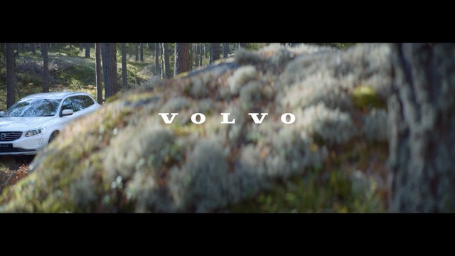 Video Reference: Nature, Rock, Tree, Natural environment, Leaf, Wilderness, Organism, Photography, Soil, Geology