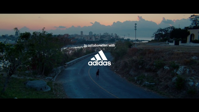 Video Reference: Nature, Sky, Road, Morning, Mode of transport, Horizon, Atmospheric phenomenon, Tree, Atmosphere, Landscape