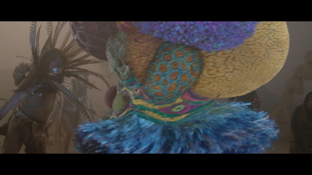 Video Reference: Feather, Art, Headgear, Hair accessory, Organism, Fashion accessory, Painting, Dress, Hat, Illustration