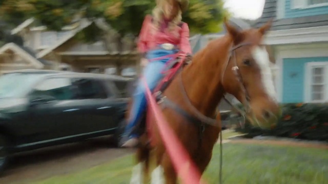 Video Reference: Horse, Mammal, Vertebrate, Halter, Bridle, Horse tack, Hair, Horse supplies, Mane, Rein