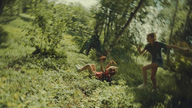 Video Reference: Vegetation, Jungle, Grass, Plant community, Organism, Forest, Tree, Adaptation, Adventure, Plant