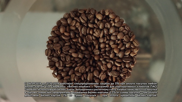 Video Reference: Plant