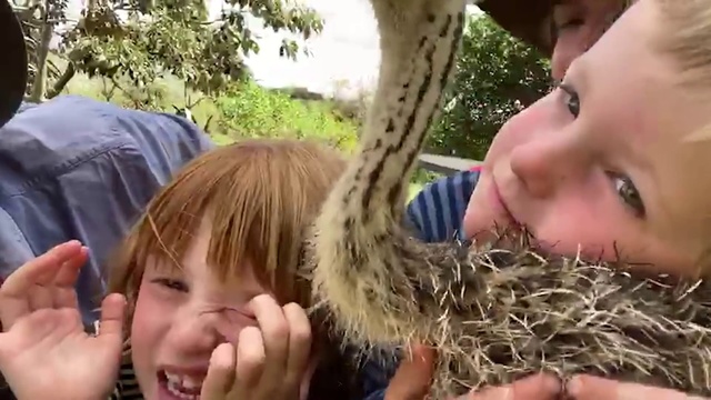 Video Reference: Facial expression, Nose, Child, Grass, Wildlife, Grass family, Fun, Mouth, Adaptation, Hand