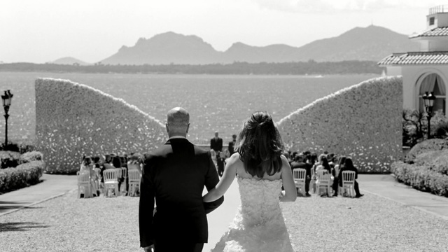 Video Reference: photograph, black and white, monochrome photography, photography, monochrome, tree, tourism, ceremony, wedding, Person