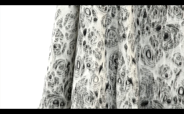 Video Reference: clothing, black and white, monochrome photography, tree, pattern, monochrome, design, lace, organ, organism