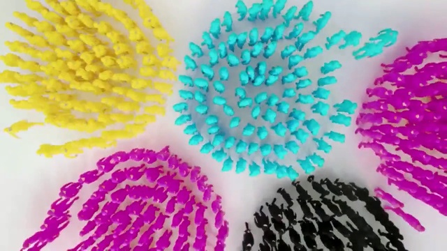 Video Reference: organism, close up, petal, pattern, symmetry