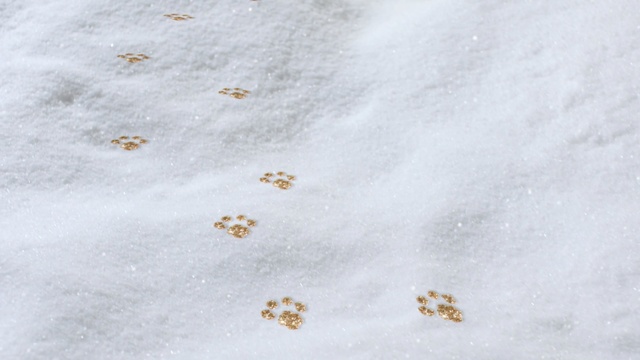 Video Reference: gold, snow, traces