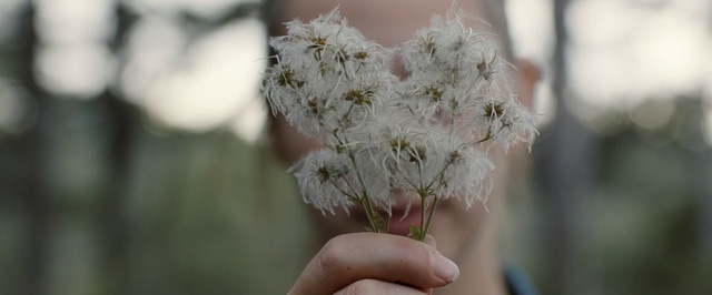 Video Reference: flower, plant, spring, flora, hand, branch, blossom, girl, winter, twig