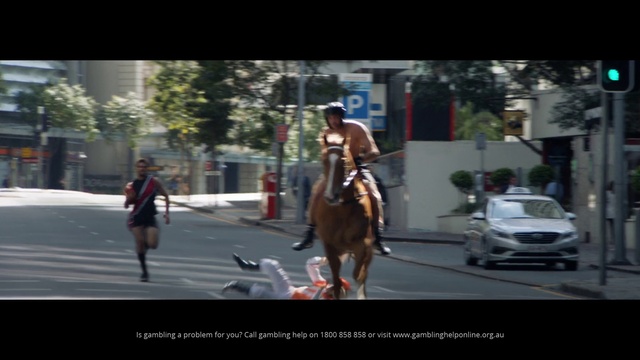 Video Reference: Horse, Mode of transport, Bridle, Horse tack, Lane, Pedestrian, Horse harness, Rein, Recreation, Stallion