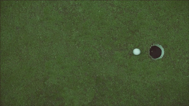 Video Reference: Green, Grass, Golf, Sport venue, Artificial turf