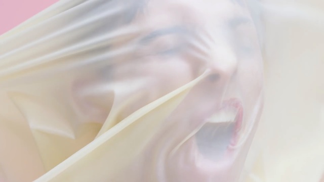 Video Reference: pink, close up, shoulder, petal, textile, silk, macro photography, joint, peach, flower