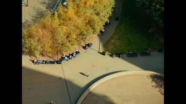 Video Reference: Aerial photography, Tree, Photography, Landscape, World