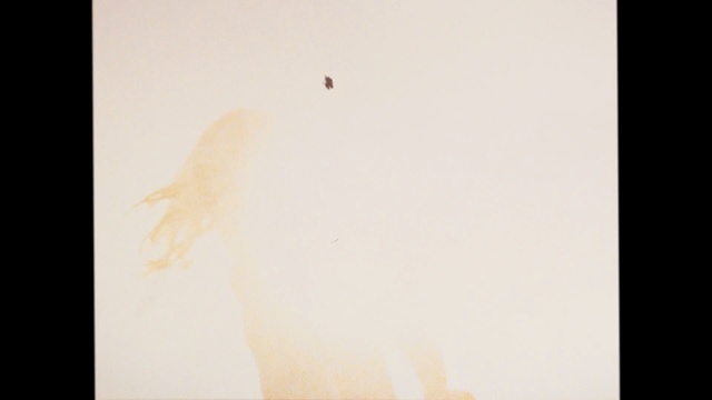 Video Reference: sky, atmosphere, wing, space, computer wallpaper