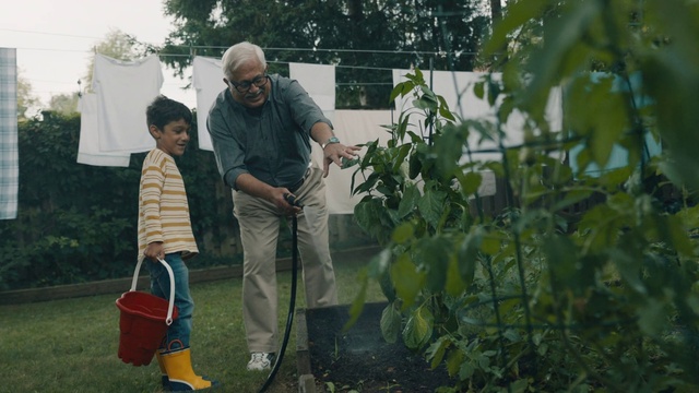 Video Reference: Leaf, Plant, Tree, Garden, Grass, Adaptation, Shrub, Soil, Gardener, Yard