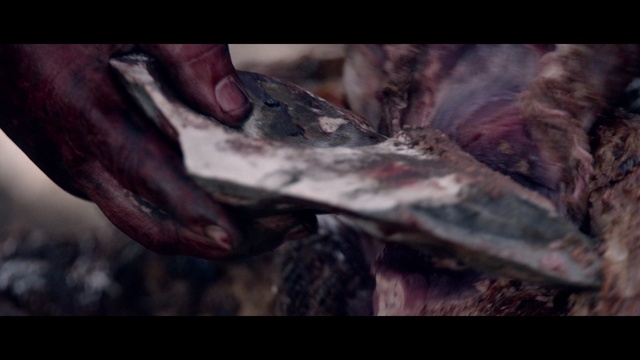 Video Reference: Flesh, Art, Fictional character