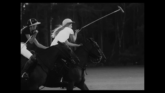 Video Reference: Horse, Stick and Ball Sports, Bridle, Black-and-white, Photography, Monochrome, Animal sports, Recreation, Polo, Rein