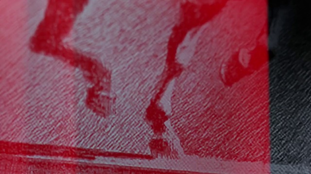 Video Reference: Red, Pink, Carmine, Close-up, Magenta, Art