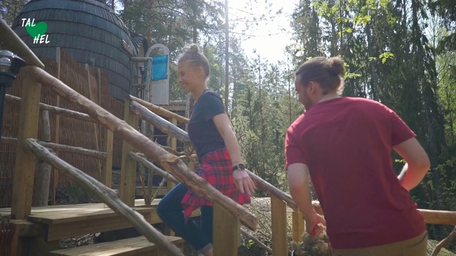 Video Reference: Natural environment, Community, Tree, Fun, Leisure, Plant, Playground, Forest, Person, Outdoor, Fence, Woman, Child, Man, Standing, Building, Young, Holding, Boy, People, Girl, Little, Food, Petting, Horse, Feeding, Group, Table, Zoo, Dog, Red, Riding, Playing, Eating, Bridge, Sheep, Clothing