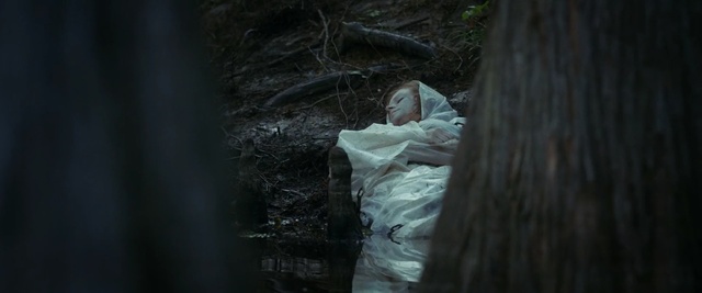 Video Reference: darkness, tree, water, screenshot, girl, forest, midnight, plant, Person