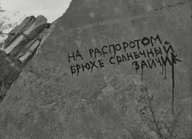 Video Reference: black and white, monochrome photography, wall, text, photography, monochrome, font, history, sky, tree, Person