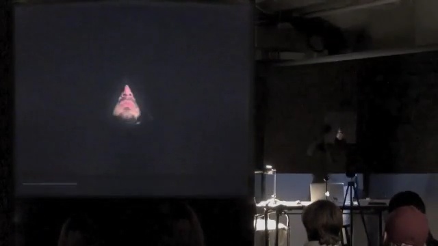 Video Reference: entertainment, event, lighting, darkness, stage, performance art, sound, performance, midnight, space