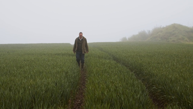 Video Reference: People in nature, Grassland, Field, Atmospheric phenomenon, Crop, Prairie, Agriculture, Mist, Grass, Plain