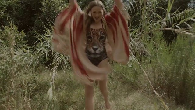 Video Reference: Natural environment, Wildlife, Grass, Tree, Fawn, Adaptation, Fictional character, Photography, Forest, Plant