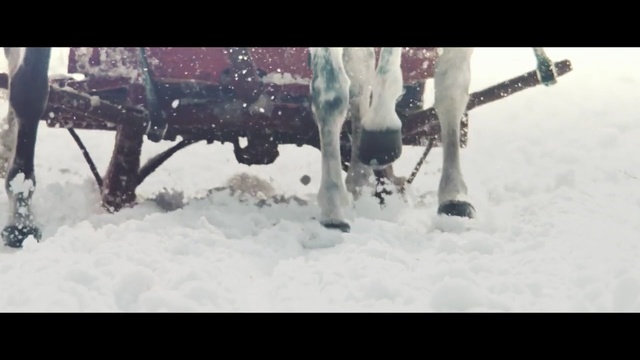 Video Reference: Snow, Winter, Ice, Freezing, Winter storm, Horse