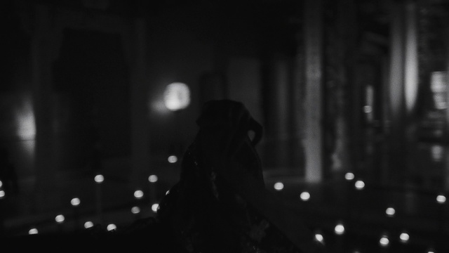 Video Reference: Black, White, Monochrome photography, Photograph, Black-and-white, Monochrome, Darkness, Light, Snapshot, Atmosphere