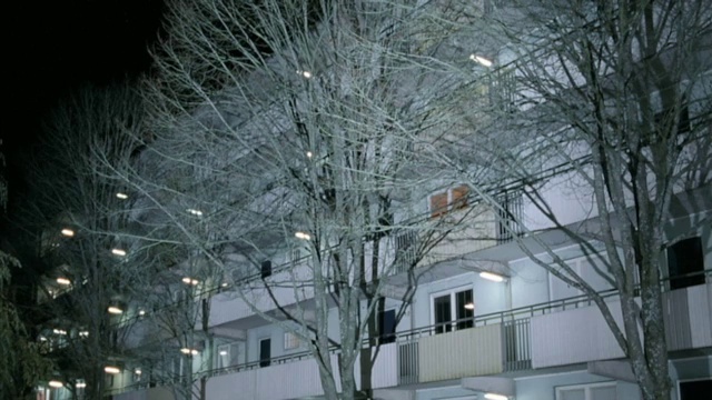 Video Reference: Building, Window, Leaf, Twig, Plant, Street light, Branch, Tree, House, Freezing