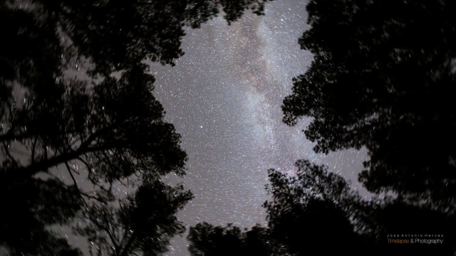 Video Reference: sky, nature, atmosphere, black and white, tree, astronomical object, darkness, photography, night, monochrome photography
