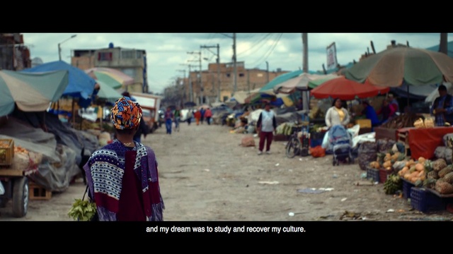 Video Reference: People, Public space, Human settlement, Town, Market, Crowd, Selling, Urban area, Street, Mode of transport